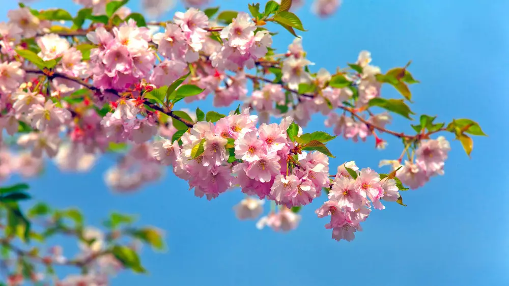 Дождь отменяется, но не везде - синоптики уточнили прогноз для Астаны и Алматы