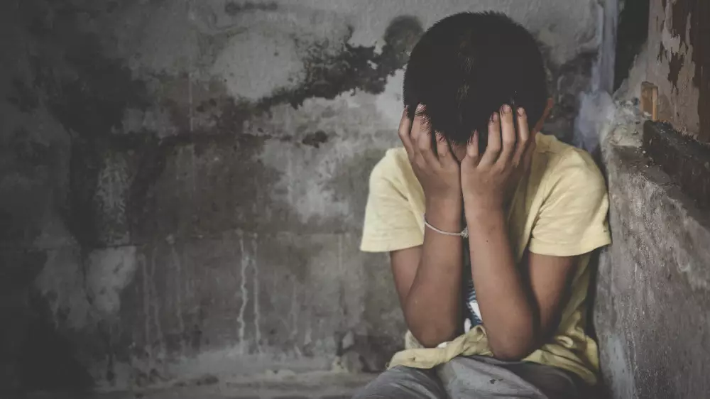 Түркістан облысында егде жастағы ер адам немересіне қарсы ауыр қылмыс жасады деп айыпталды