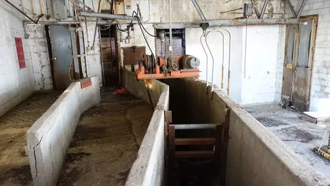 Казахстан резко сократил ошибки в учете животных