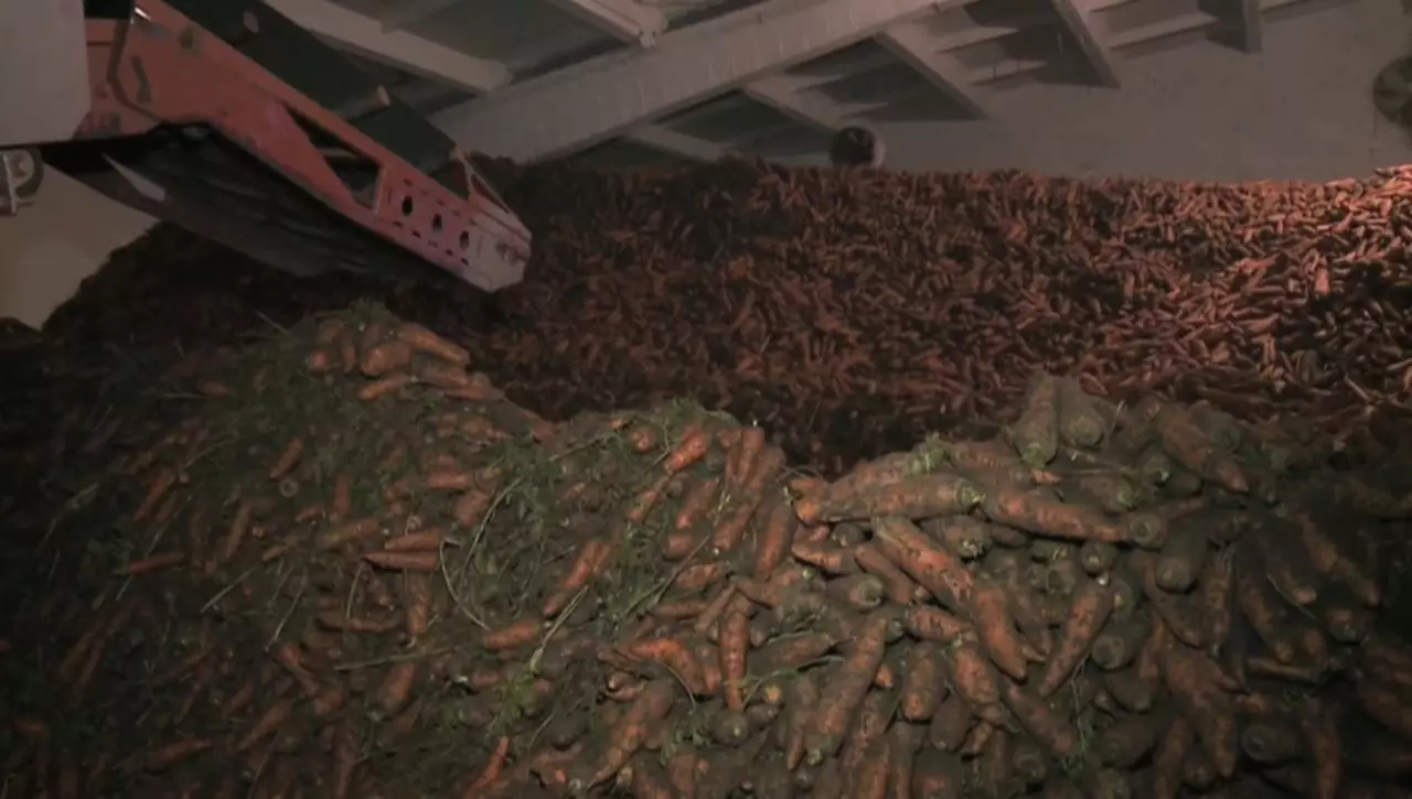 Өскеменде әлеуметтік азық-түлік негізсіз қымбаттаған