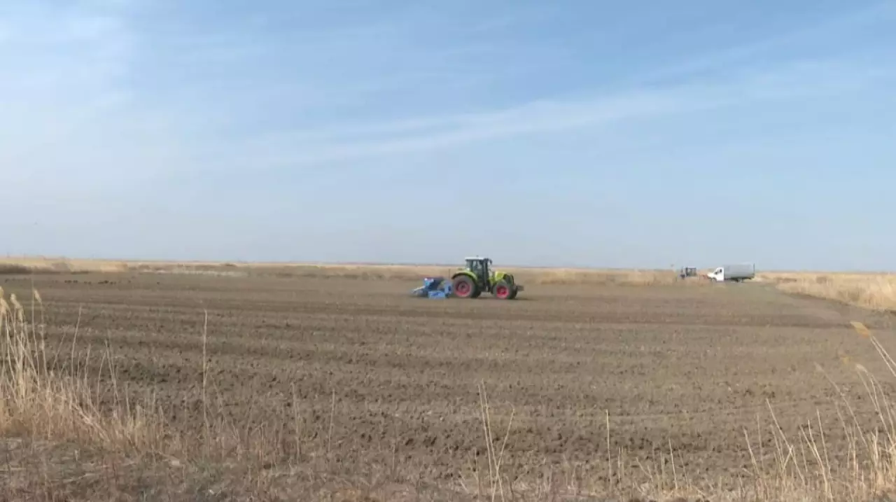 Посевная риса стартовала в Кызылординской области