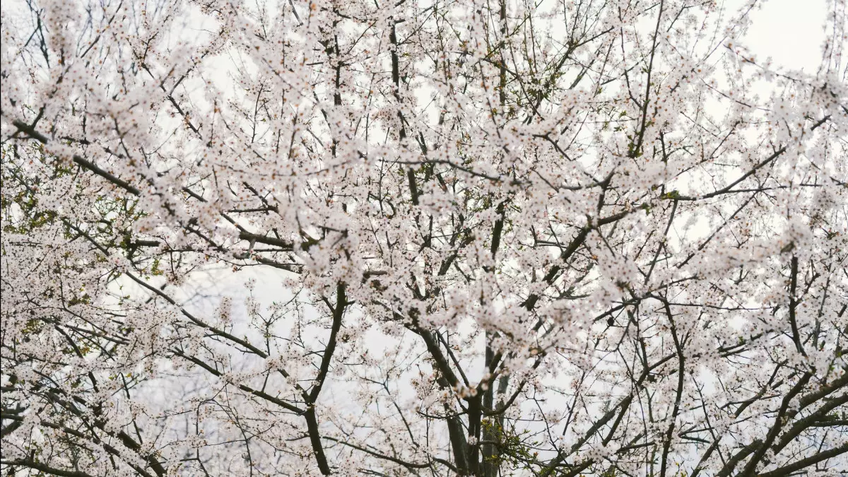 29 сәуірде бірқатар өңірде дауылды ескерту жарияланды