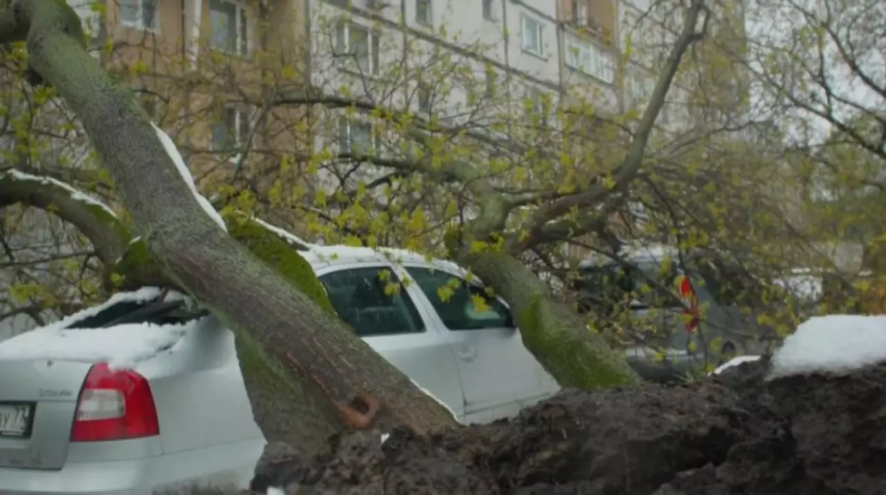 Три человека погибли из-за непогоды в России