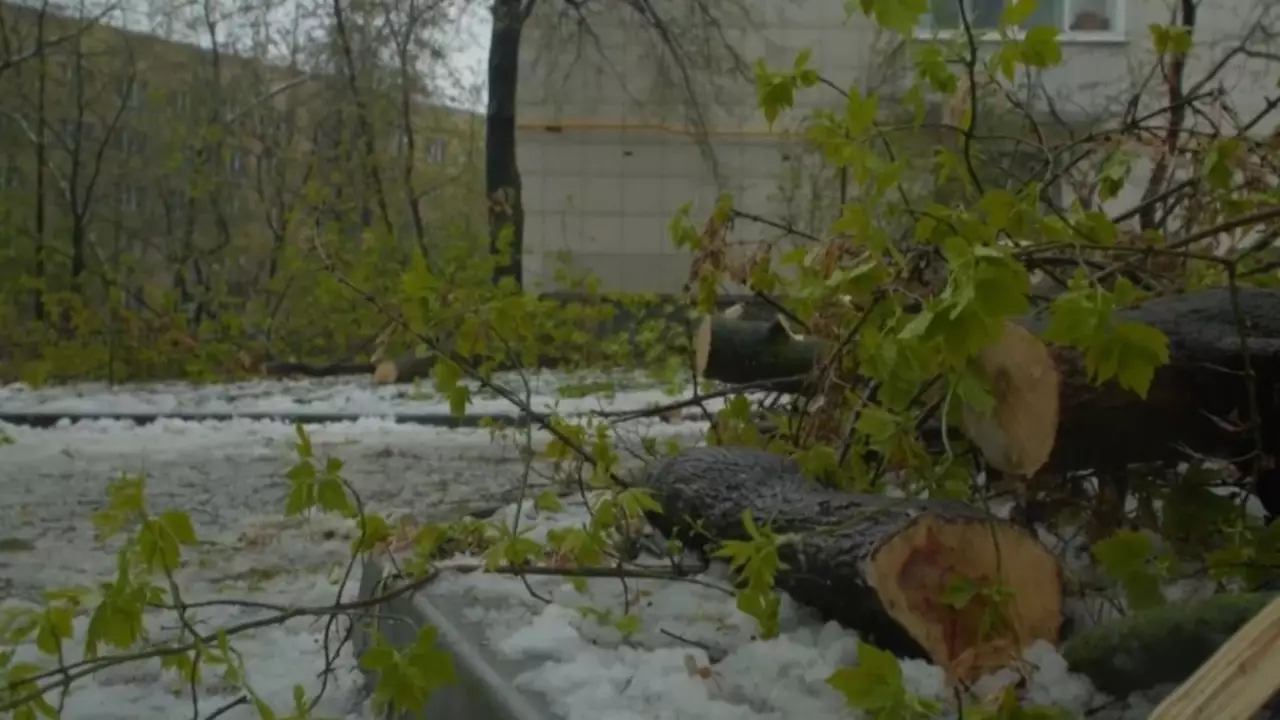 Ресейде қарлы бораннан үш адам көз жұмды