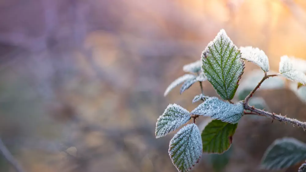 Заморозки, град: штормовые предупреждения объявили в Астане и регионах