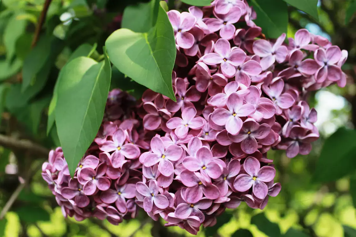 О погоде в мае рассказали синоптики Мангистау - новости на Lada.kz 28.04.2026