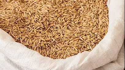 Израиль обвинили в покупке «краденого» зерна