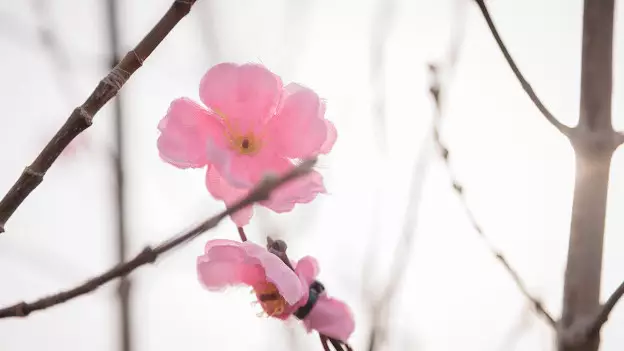 Какая погода ожидается в Казахстане