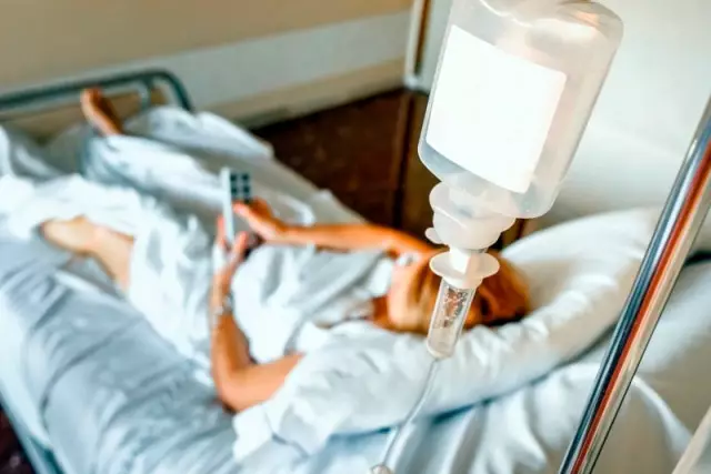 Түркістан облысында құтыру күдігі бар шибөрі балаларға шабуыл жасады