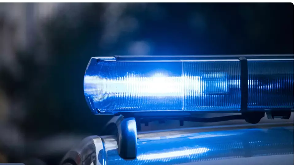 Сәбиді саудалағандар: Қызылордадағы сұмдық схема әшкереленді