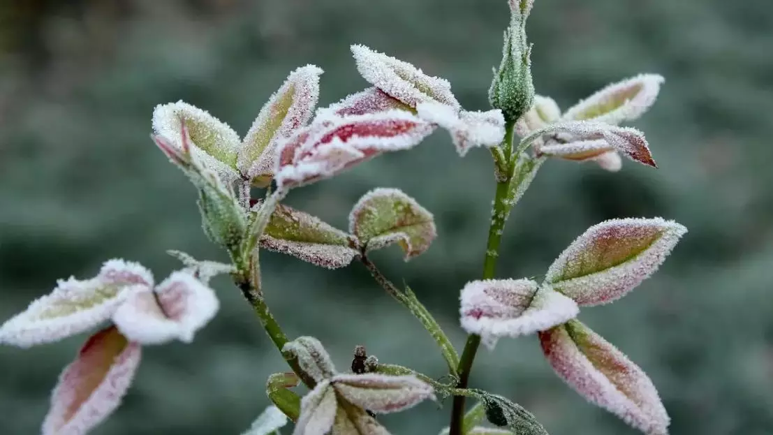 Күн қайта суыта ма? Бірқатар өңірінде дауылды ескерту жарияланды