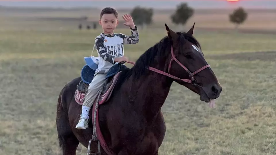 Ат құлағында ойнайтын 6 жасар бүлдіршін: желі жұлдызына айналған жас шабандоз