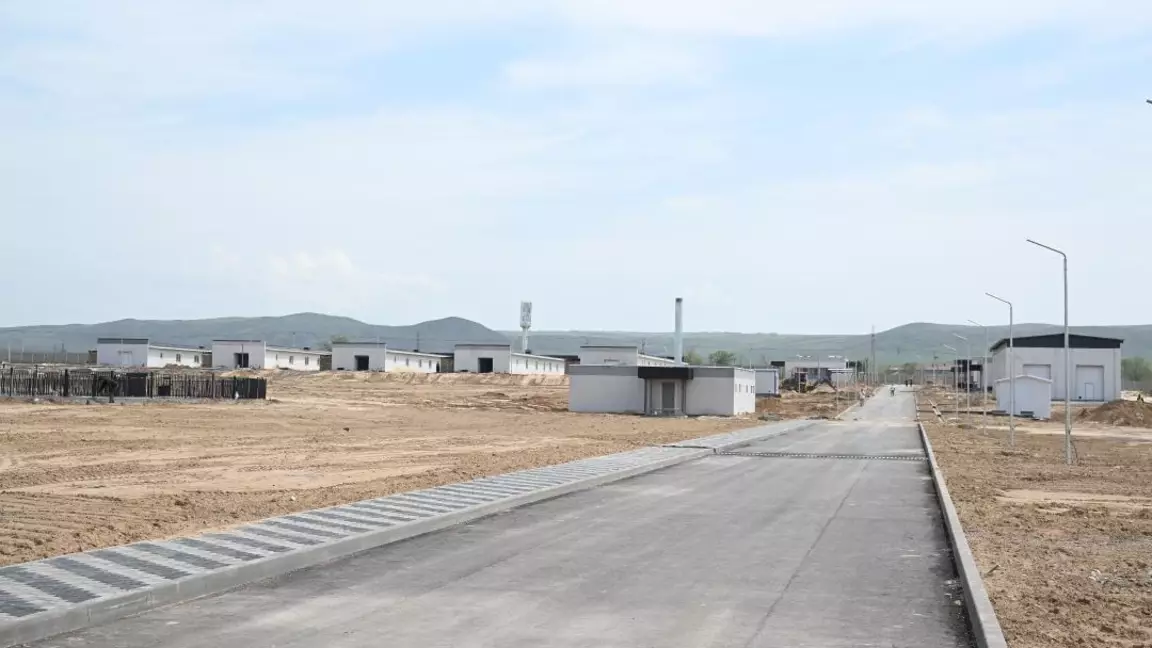 Жетісуда тазы және төбет ит тұқымдарын өсіру орталығы салынып жатыр