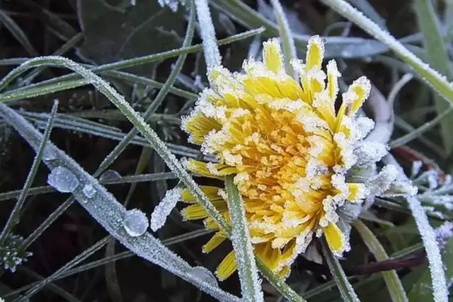Үсік, найзағай, аяз: Бүгін еліміздің бірқатар өңірінде ескерту жарияланды