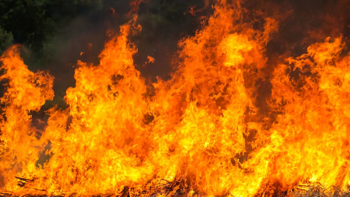 Фейерверки в кафе Алматы попали на видео: ДЧС начало проверку