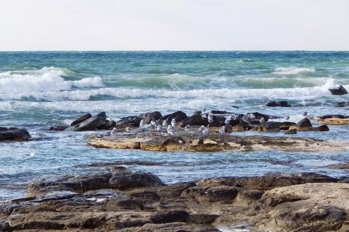 Актау выдвинули единственным кандидатом на звание столицы туризма ОЭС