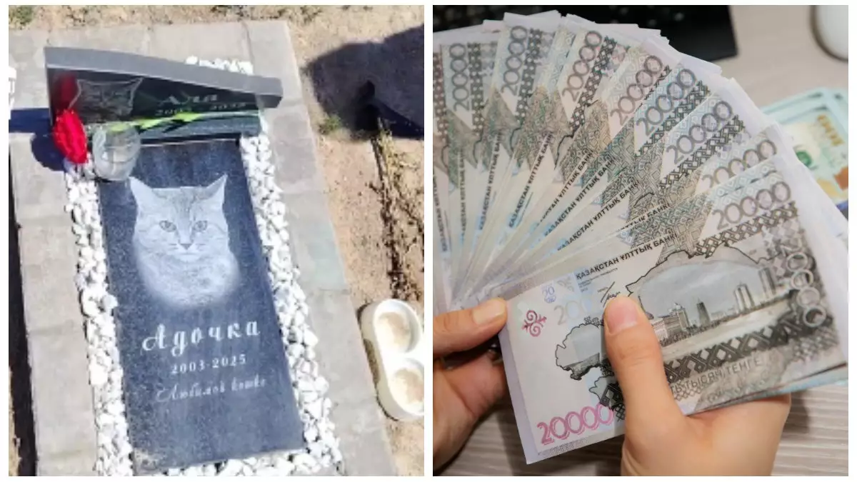 Кладбище домашних животных с мраморными плитами нашли в Казахстане: почему за захоронение грозит штраф