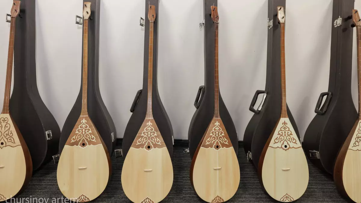 Правила перевозки домбры: чего ждать пассажирам