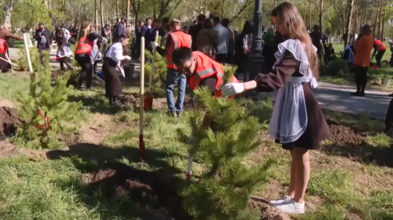 Аллею выпускников высадили в Павлодаре