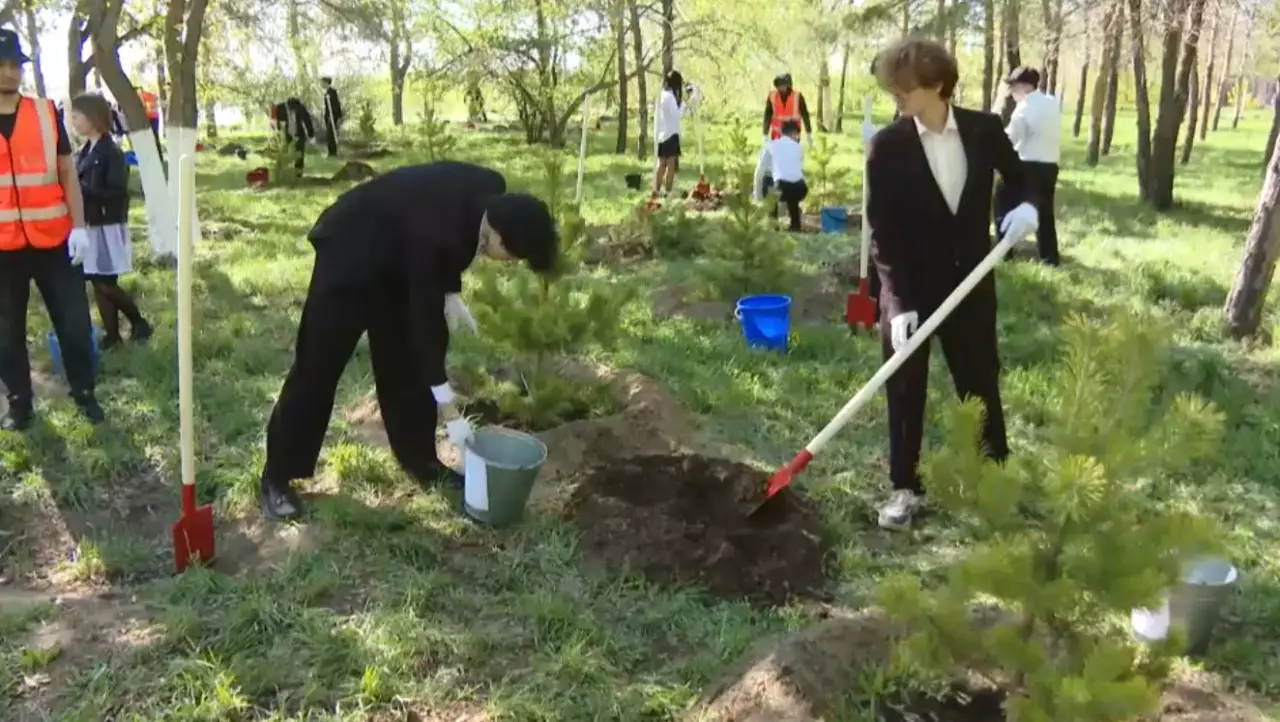 Павлодарда бес мың түлек ағаш екті