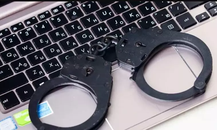 Продажа младенца и вебкам-сети: МВД сообщило о выявленных преступных схемах (видео)