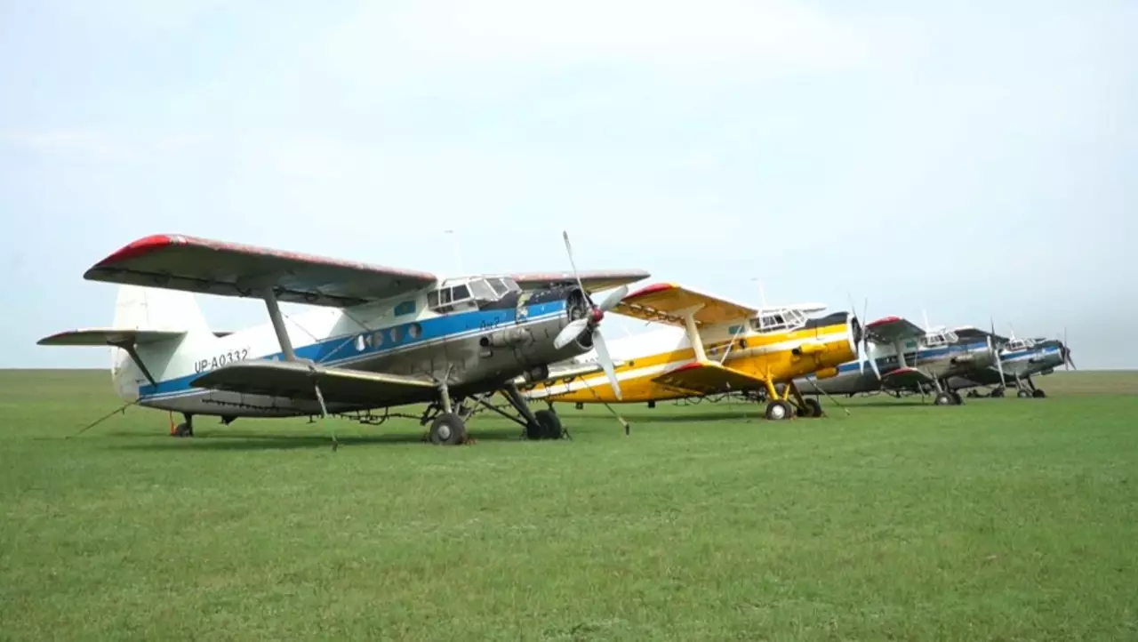 Павлодар облысында қансорғыштармен күрес күшеймек