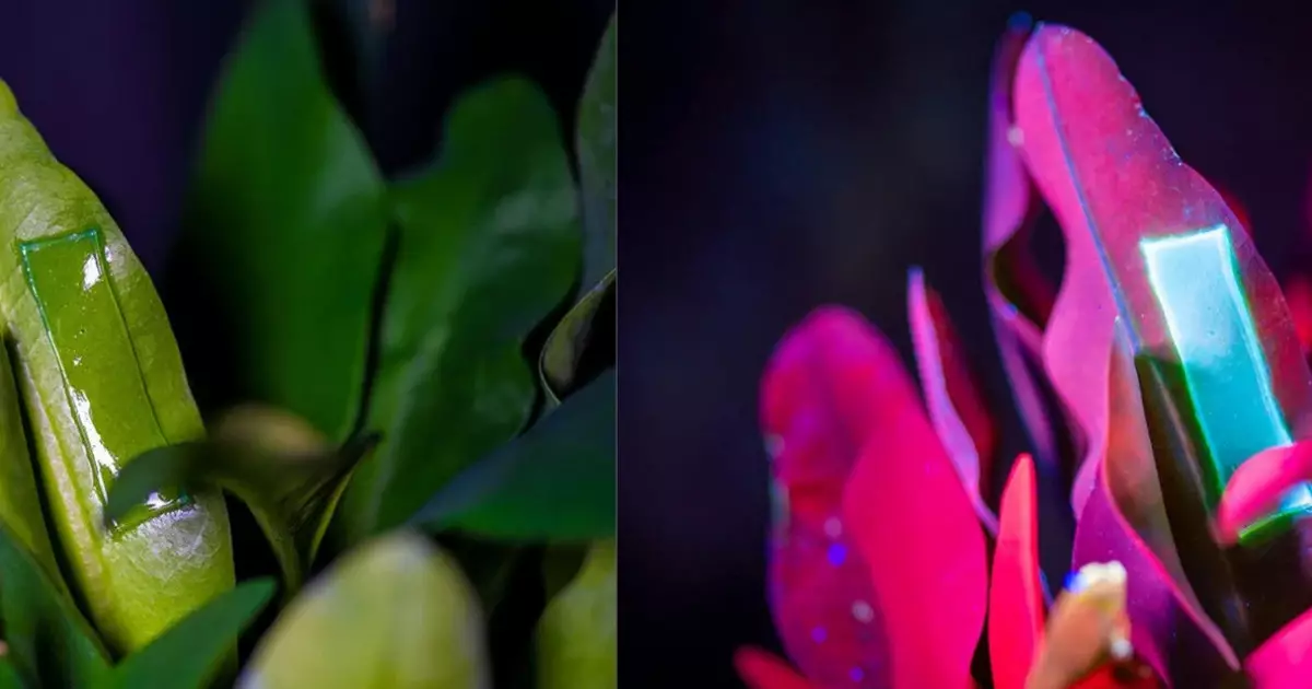  АҚШ ғалымдары инфекцияны 48 сағатта жоятын гель жасап шығарды 