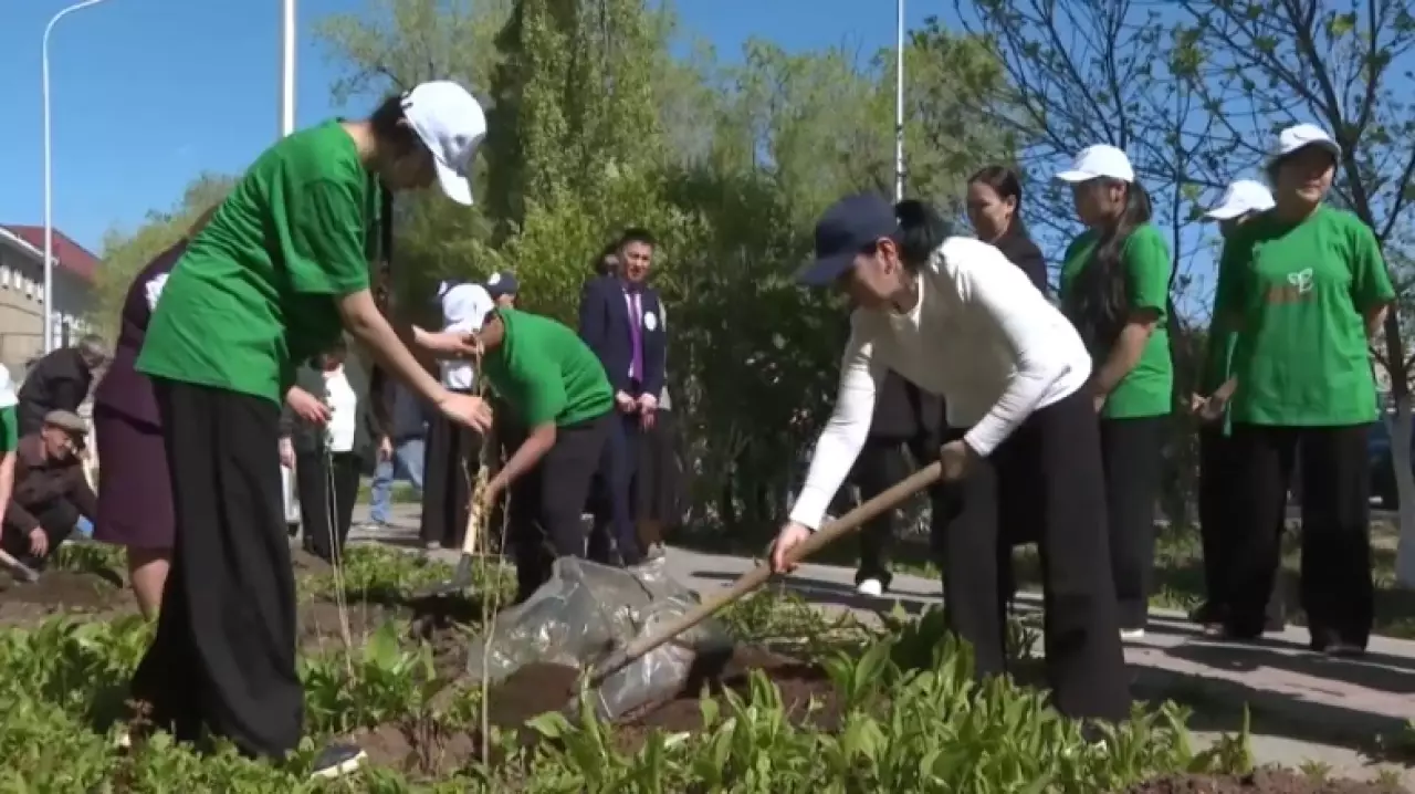 Актюбинские выпускники посадили 2335 деревьев в рамках экоакции