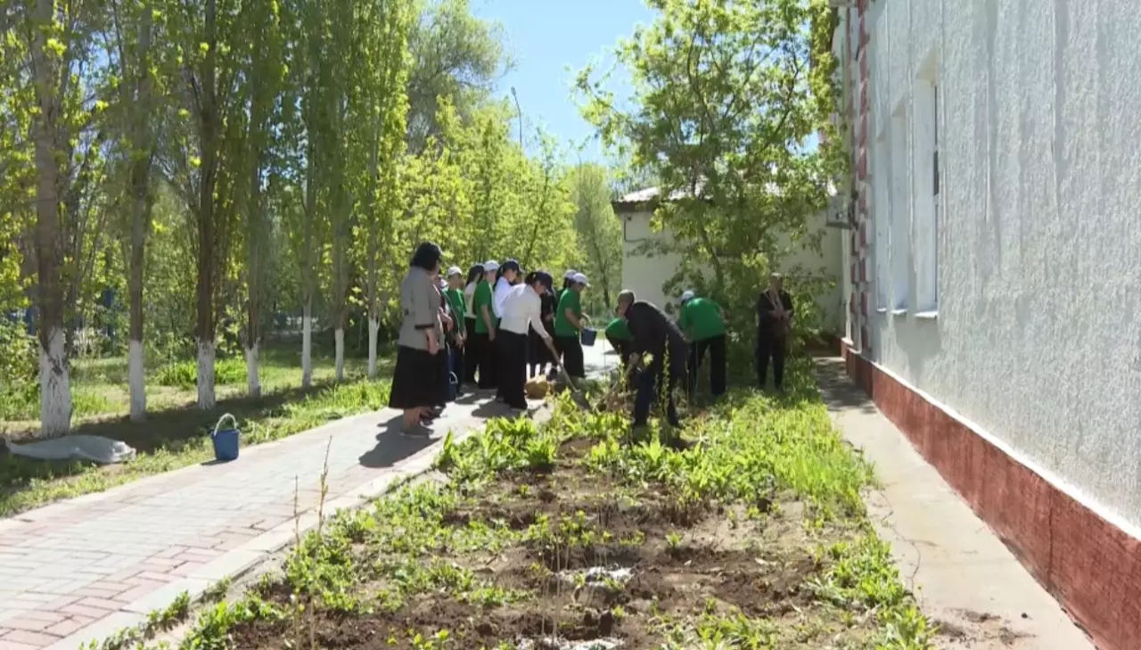 Ақтөбеде мектеп түлектері көшет екті