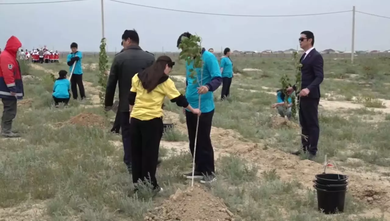Маңғыстаулық оқушылар жеміс ағаштарын екті