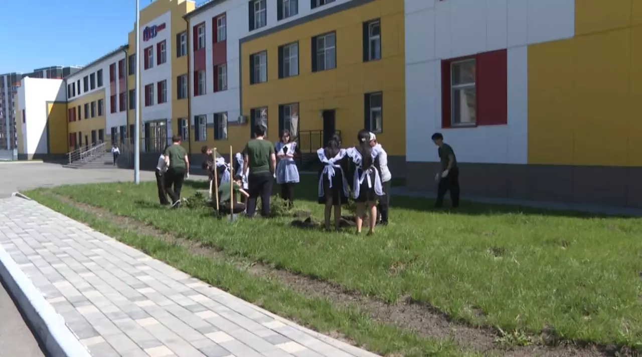 ШҚО-да 5200 түп көшет егілді