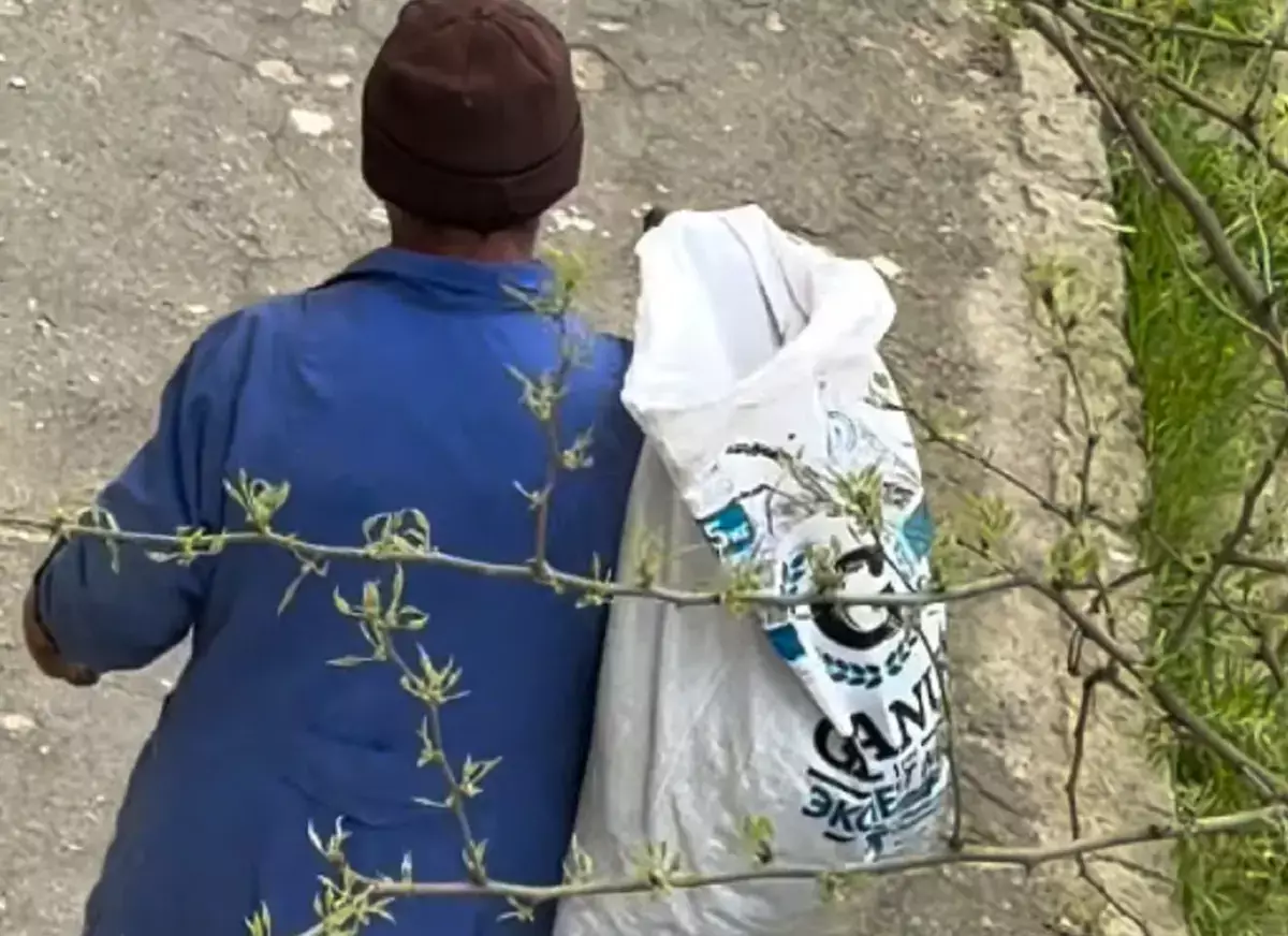 Жители 4 микрорайона Актау пожаловались на вырубку зеленых насаждений - новости на Lada.kz 29.04.2026