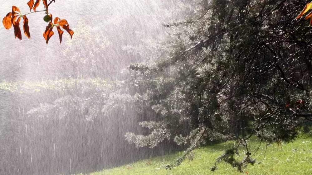 Дожди с грозами и жара: какой будет погода в Казахстане 30 апреля