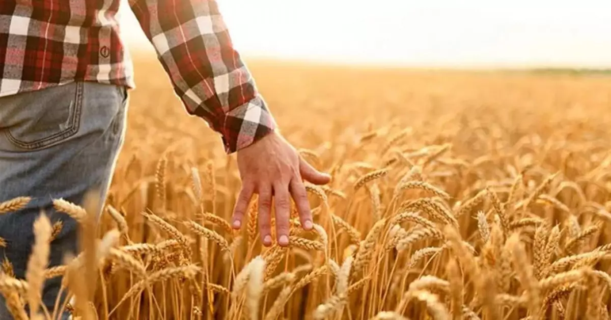   Дала дидары: әлеует пен әрекет қабысса, ауыл түлейді   