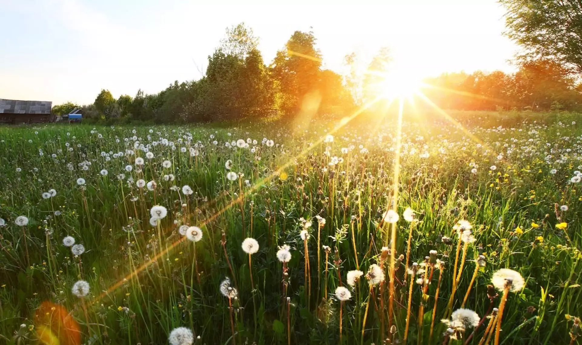 Қазақстанның ірі қалаларындағы 30 сәуірге арналған ауа райы болжамы