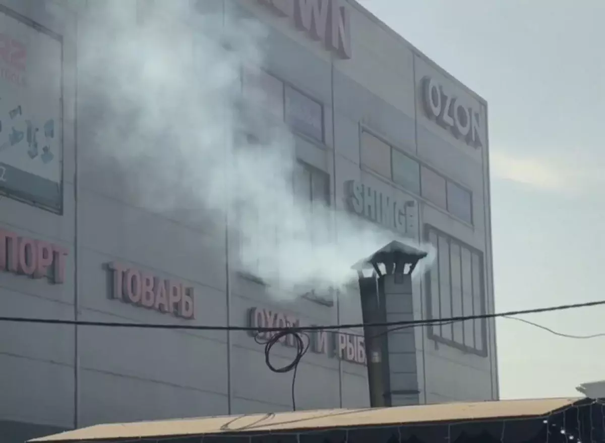 Алматыдағы зиянды шығарындылардың шамамен 60%-ы автокөліктен келеді