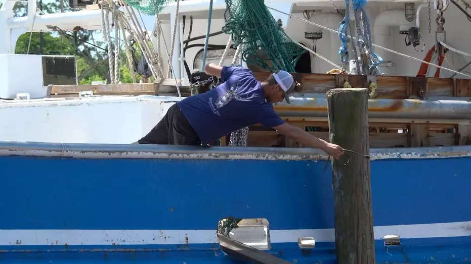 Американские рыбаки, добывающие креветок, столкнулись с «двойным ударом» из-за резкого роста цен на топливо и возврата пошлин.