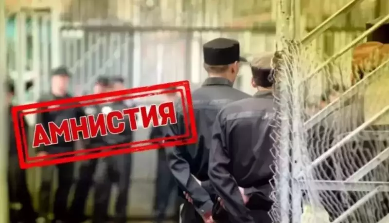 Амнистия: простит ли государство молодых закладчиков