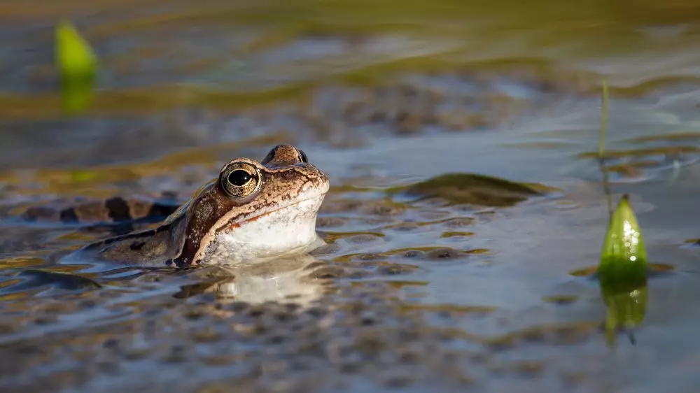 Астанада күн суытып, Алматыда найзағай ойнайды: 1-3 мамырға арналған ауа райы болжамы