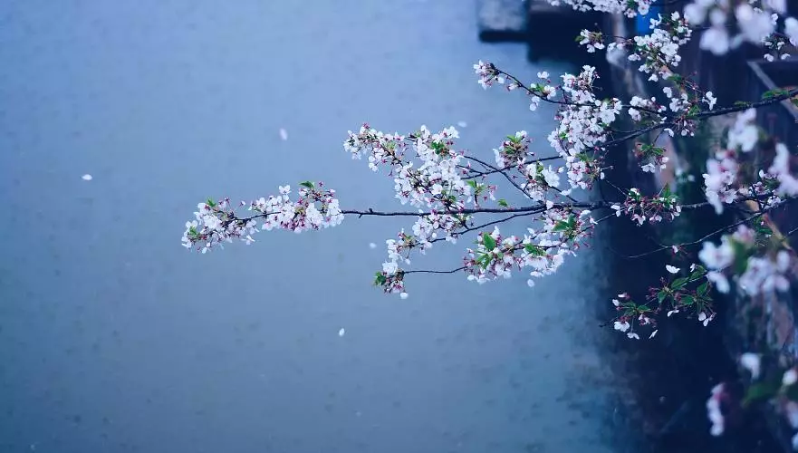 Кей өңірлерде  ауа райы қолайсыз