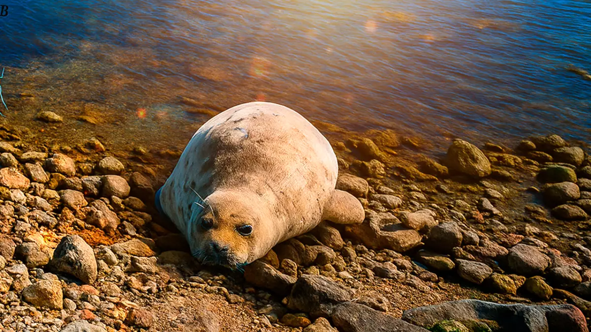 Каспийский кризис: экологическая проблема или экономическая угроза для Казахстана?