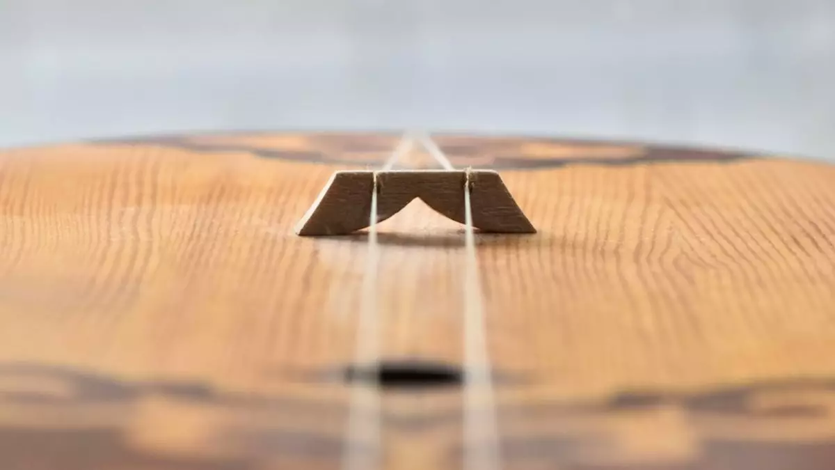 В Казахстане официально разрешат брать домбру в салон самолета