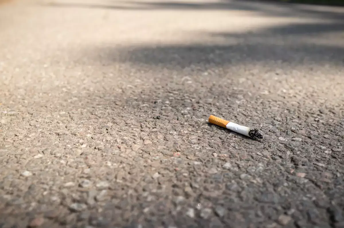 Жителя Шетпе наказали общественными работами за выброшенный окурок - новости на Lada.kz 30.04.2026