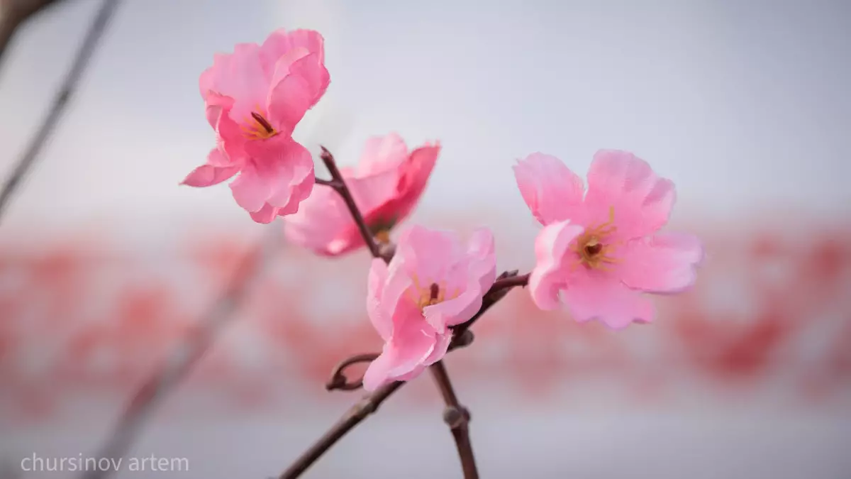 Мамырдың алғашқы демалыстары: Ауа райы қандай болады?