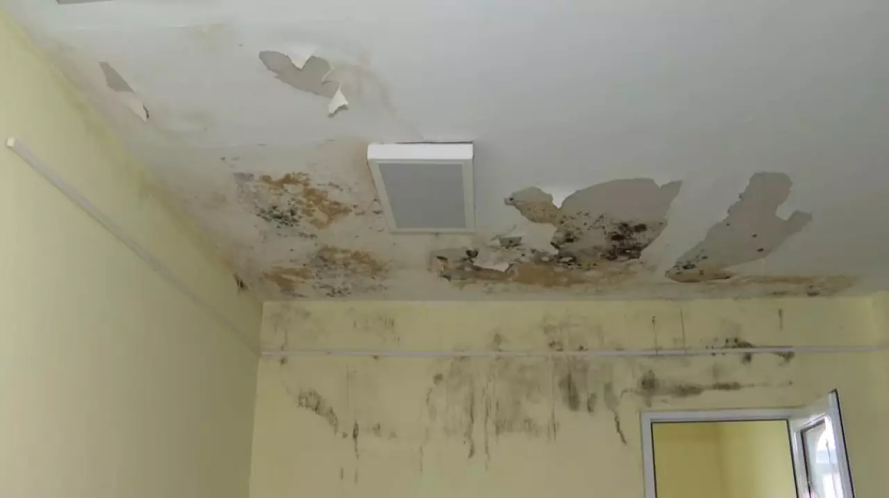 Когда восстановят заброшенный музей в Таразе