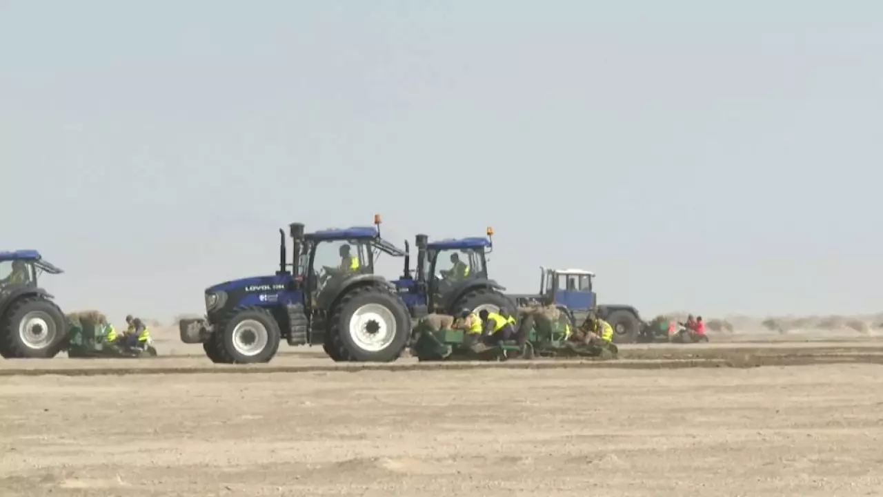 Природный резерват создают в Кызылординской области