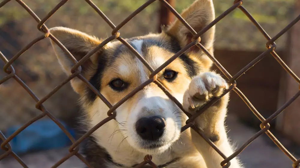 Приговор за убийство, громкий закон, новшества для чиновников. Новости Казахстана за 30 апреля
