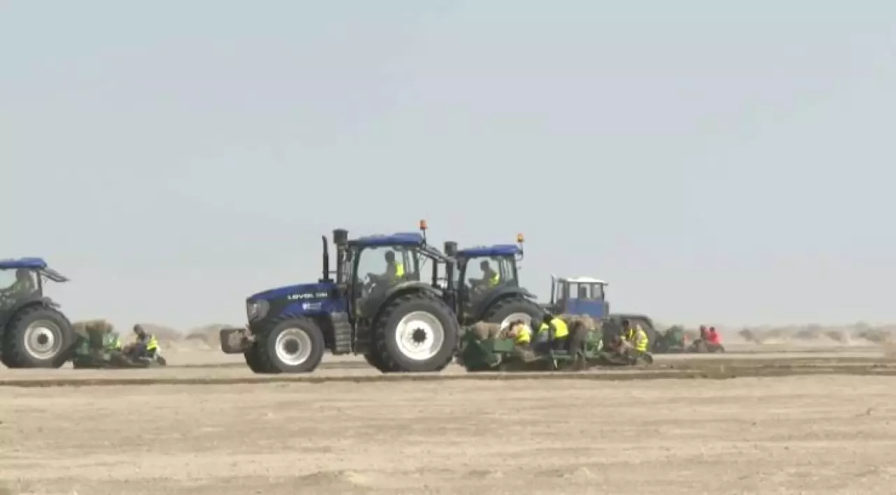 Қызылорда облысында «Арал орманы» резерваты құрылады