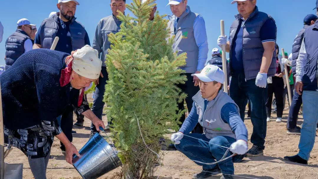 Таза Қазақстан: в Алматинской области посадили 5 тысяч деревьев