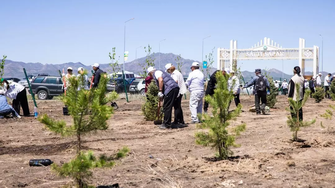 «Таза Қазақстан»: Алматы облысында 5100 түп ағаш көшеті отырғызылды